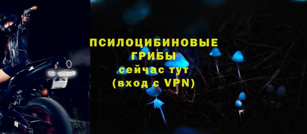сатива Михайлов