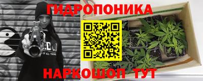 метадон Аргун