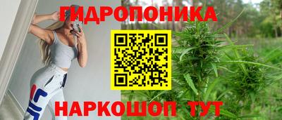 метадон Аргун