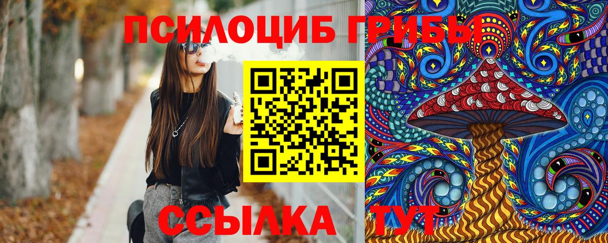 Псилоцибиновые грибы Psilocybine cubensis Белая Калитва
